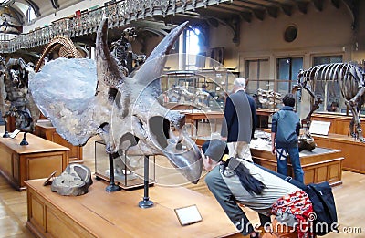 Young beautiful woman in Parisian museum of paleontology Editorial Stock Photo