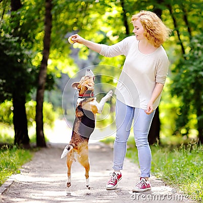 Young beautiful woman playing with Beagle dog Stock Photo