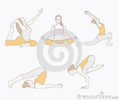 Young beautiful woman practicing yoga and gymnastic Vector Illustration