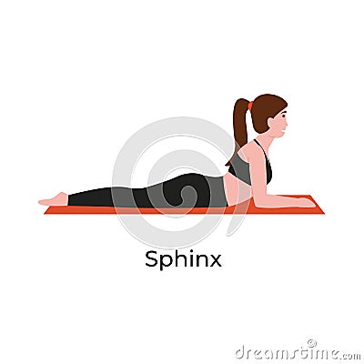 Yoga poses sphinx Vector Illustration