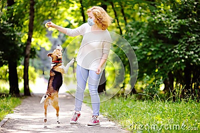 Young beautiful woman wearing disposable medical face mask playing with Beagle dog in the park during coronavirus outbreak. Stock Photo