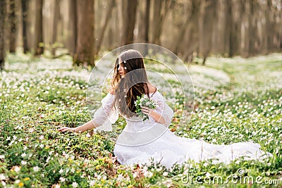 Young beautiful woman in a white dress collects primroses. A girl in the spring forest. A bouquet of white anemones in her hands Stock Photo