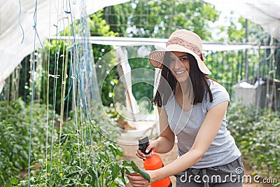Young, beautufull woman working in a greenhouse. Stock Photo