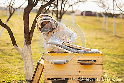 A young beekeeper girl is working with bees and beehives on the apiary, on spring day Stock Photo