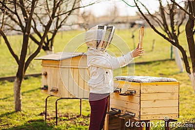 A young beekeeper girl is working with bees and inspecting bee hive after winter Stock Photo