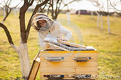 A young beekeeper girl is working with bees and inspecting bee hive after winter Stock Photo