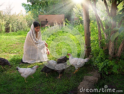 Girl feeding chickens in the garden Stock Photo