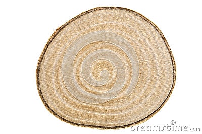 Cross section of a birch wood trunck Stock Photo