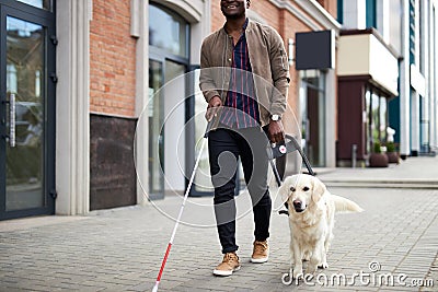 Young blind man with stick and guide dog walking Editorial Stock Photo