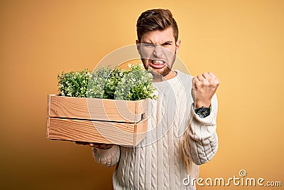 Young blond gardener man with beard and blue eyes holding wooden box with plants annoyed and frustrated shouting with anger, crazy Stock Photo