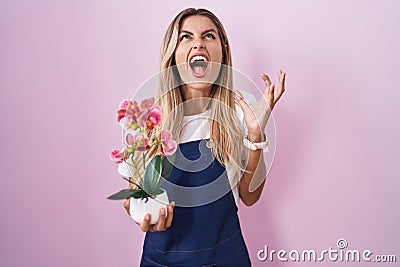 Young blonde woman wearing gardener apron holding plant crazy and mad shouting and yelling with aggressive expression and arms Stock Photo