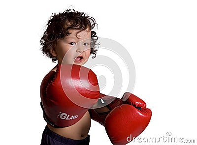 The young boxer. Stock Photo