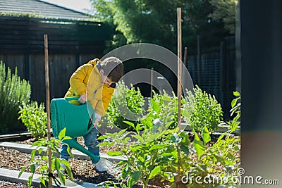 Young child watering the veggie garden helping with housework Stock Photo