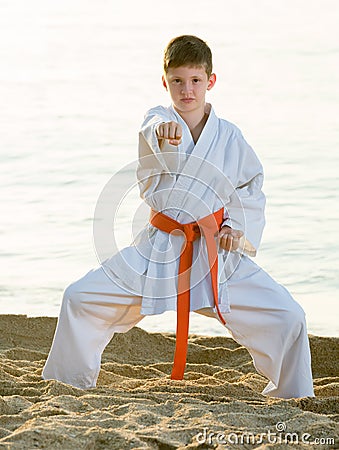 boy exercising kung fu Stock Photo