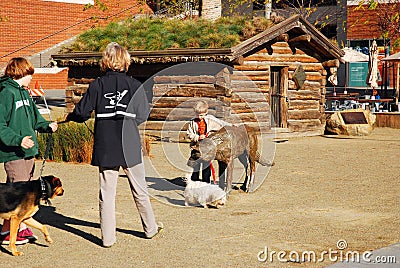 Call of the Wild cabin, Oakland Editorial Stock Photo