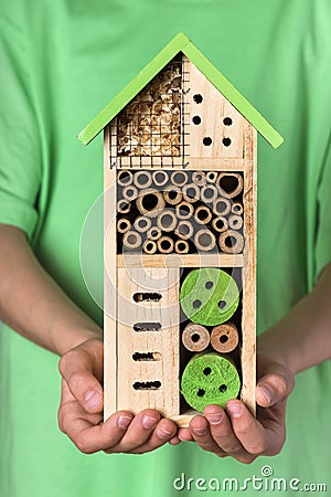 Young boy holding decorative wooden bee for different child of insects. Stock Photo