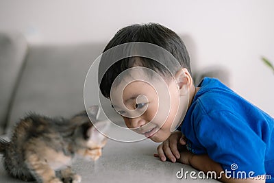 A young boy is looking at a cat on a couch Stock Photo