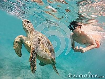 Young boy Snorkel swim with green sea turtle, Egypt Stock Photo