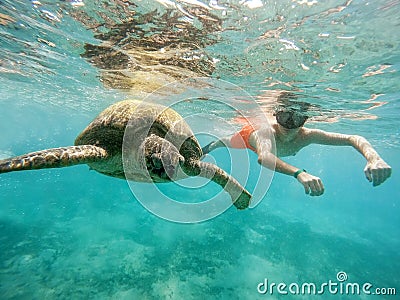 Young boy Snorkel swim with green sea turtle, Egypt Stock Photo