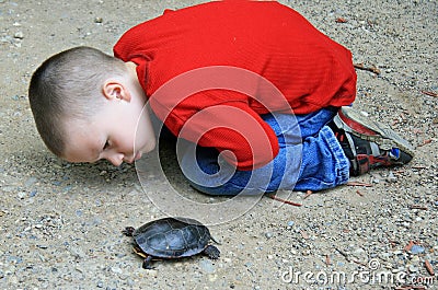 Young Boy and Turtle Stock Photo