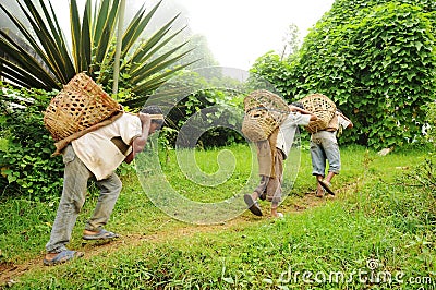 Young Boys work hard as porters, India Editorial Stock Photo