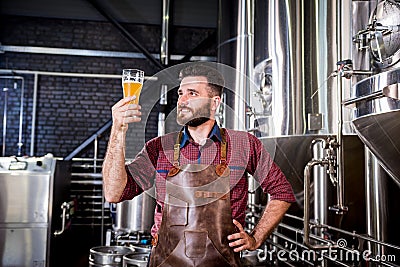 Young brewer wearing a leather apron is testing beer at a modern brewery Stock Photo