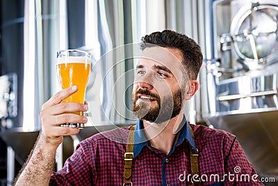 Young brewer wearing a leather apron is testing beer at a modern brewery Stock Photo