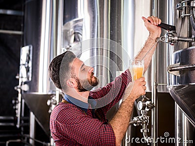 Young brewer wearing a leather apron is testing beer at a modern brewery Stock Photo