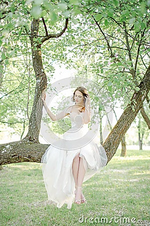 Young bride in beautiful wedding dress sitting on tree outdoors Stock Photo