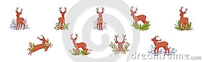 Young Brown Deer with Antlers and Winter Twigs Vector Set Vector Illustration