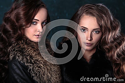 Young brunette twins women with perfect natural makeup and hair style wearing furs Stock Photo