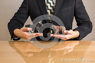 Trader sitting in front of wooden desk Stock Photo