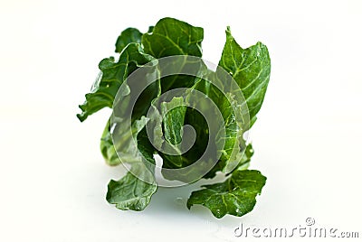 Young cabbage Stock Photo