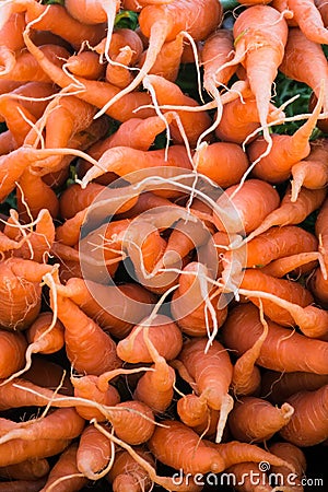 Young carrots Stock Photo