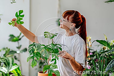 Young Caucasian red haired woman florist, plants lover, enjoy caring of home interiors plants in pots, Stock Photo