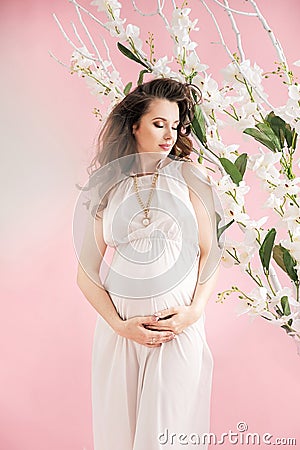 Young cheerful pregnant lady touching her belly Stock Photo