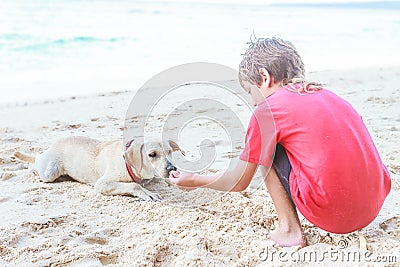 Young child boy having fun with white dog in the sea, summ Stock Photo