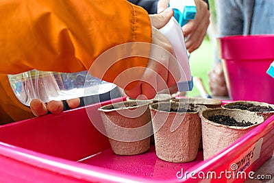 Young children learning how to plant seeds in garden. Narrow depth of field of hands holding seeds and black soil in pot. Stock Photo