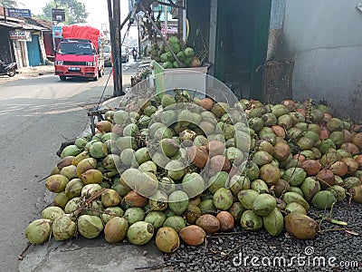 Young coconut fruits for iftar takjil in the month of Ramadan Editorial Stock Photo