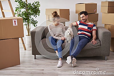 Young couple in new apartment with small dog Stock Photo