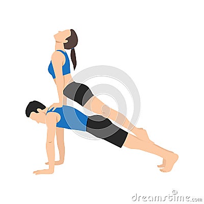 Young couple practicing yoga together, upward facing dog on top of plank pose Vector Illustration