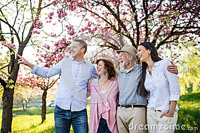 Young couple with senior parents walking outside in spring nature. Stock Photo