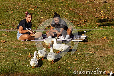 A young couple in summer clothes are sitting on picnic blanket on a sunny afternoon. They eat snacks and feed ducks Editorial Stock Photo