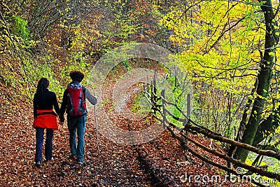 Young couple walking on a forest path in autumn. Stock Photo