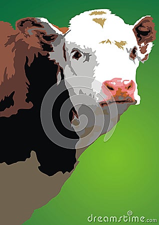 Young cow head Vector Illustration