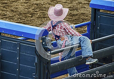 Young cowboy watching rodeo Cody Wyoming Editorial Stock Photo