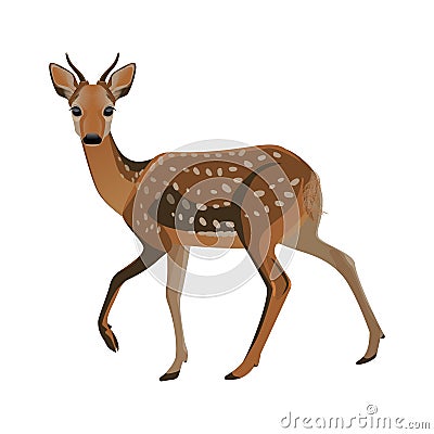 Young deer with short horns and brown fluffy fur Vector Illustration