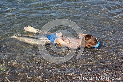 Young diver Stock Photo