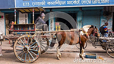 A young driver sitting on his wheeled horse cart outside a shop in a market street in Editorial Stock Photo