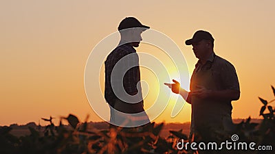 A young and elderly farmer chatting on the field at sunset Stock Photo